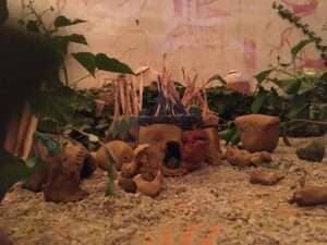 IMG-20200906-WA0010-1024x768